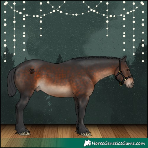 Horse Color:Brown 