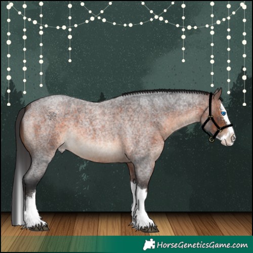 Horse Color:Brown Roan Splash 