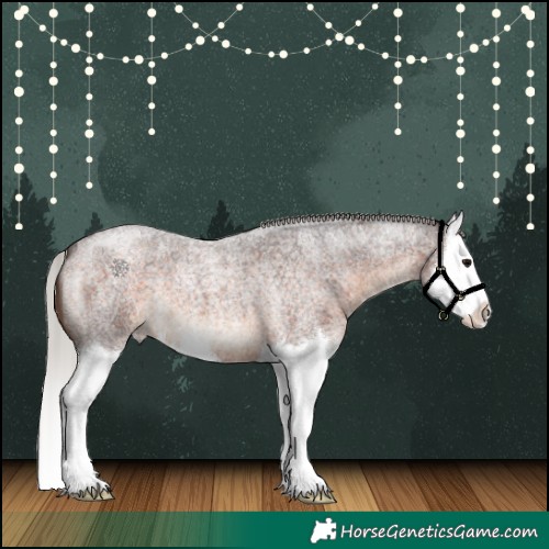 Horse Color:Silver Brown Roan Splash