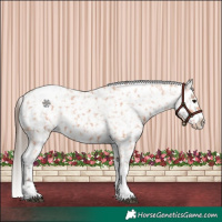 Horse Color:Bay Tobiano Snowflake Varnish