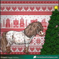 Horse Color:Red Roan Appaloosa 