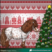 Horse Color:Red Roan Appaloosa 