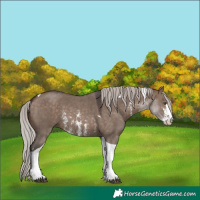 Horse Color:Silver Brown Dun Sabino Tobiano