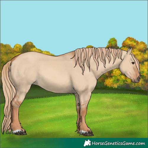 Horse Color:Red Dun