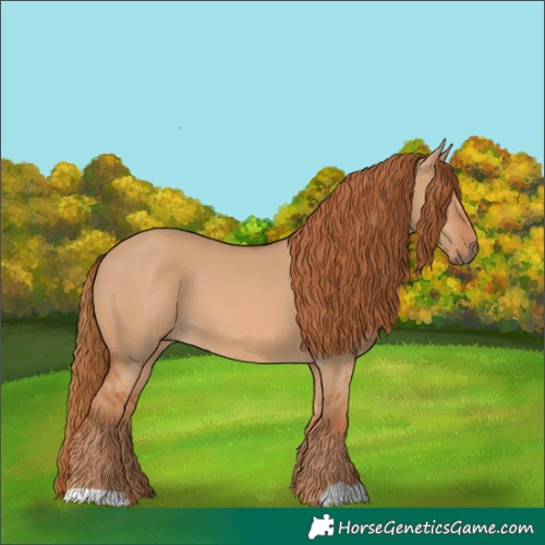 Horse Color:Red Dun 
