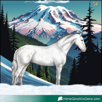 Horse Color:Silver Bay Dun Appaloosa