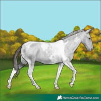 Horse Color:Black Tobiano Varnish 