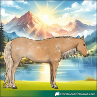 Horse Color:Palomino 