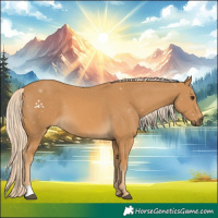 Horse Color:Palomino