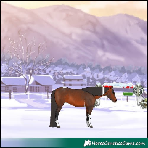 Horse Color:Bay Tobiano 