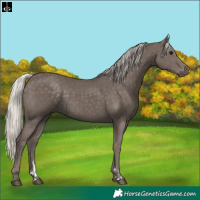 Horse Color:Silver Black 
