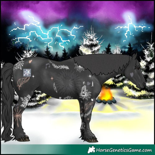 Horse Color:Black 