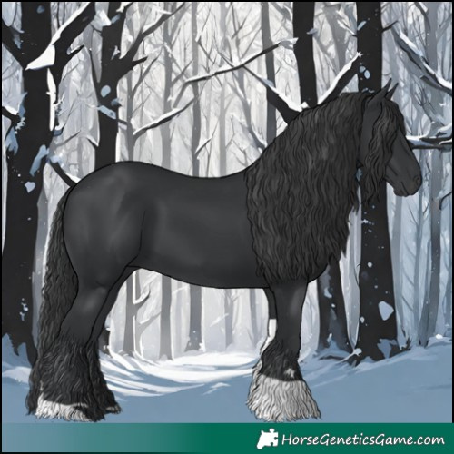 Horse Color:Black Tobiano