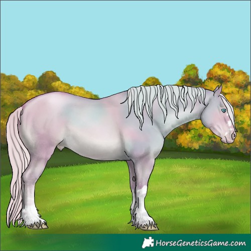Horse Color:Watercolor White Spotted Chocolate Palomino Pearl Dun 