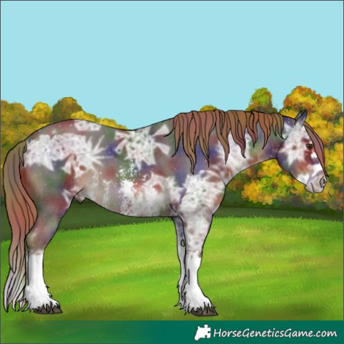 Horse Color:Nacre Liver Chestnut Ice Sabino Splash 