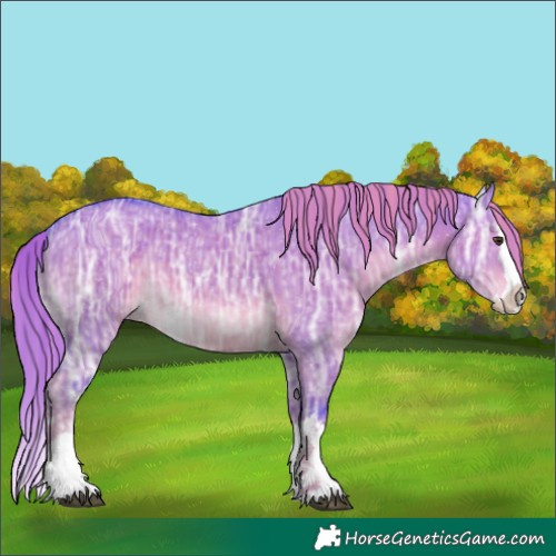 Horse Color:Watercolor White Spotted Liver Red Dun Ice Splash 