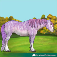 Horse Color:Watercolor White Spotted Liver Red Dun Ice Splash 
