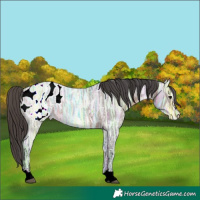 Horse Color:Brown Ice Roan Blanket