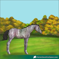 Horse Color:Brown Ice 