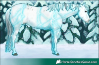 Horse Color:Thunderstruck Grullo Onyx Sabino Splash Appaloosa