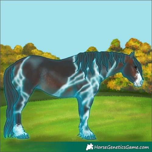 Horse Color:Thunderstruck Brown Sabino Rabicano 