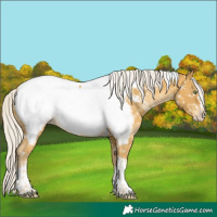 Horse Color:Silver Sable Cream Champagne Splash Tobiano Appaloosa Rabicano