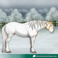 Horse Color:Silver Sable Cream Champagne Splash Tobiano Near Fewspot Rabicano 