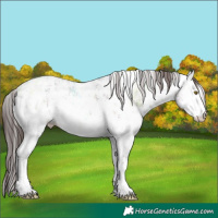 Horse Color:White Spotted Classic Champagne Ice Mushroom Sabino 