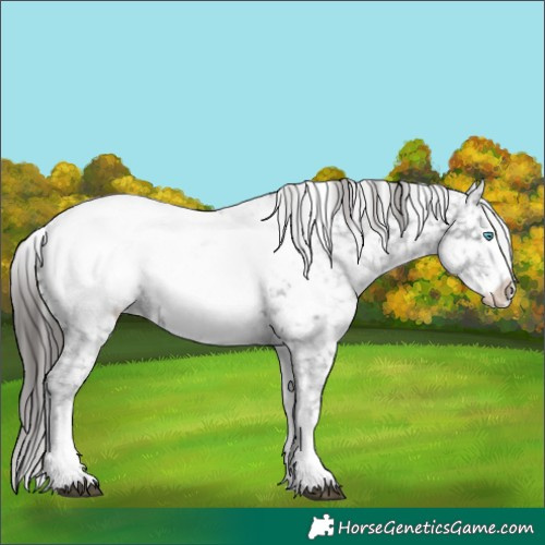 Horse Color:White Spotted Black Ice Sabino Splash Near Fewspot