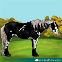 Horse Color:White Spotted Brown Pearl Near Fewspot