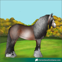 Horse Color:Gray Bay