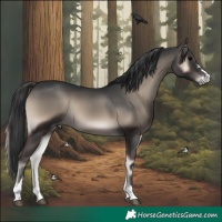 Horse Color:Blue Onyx