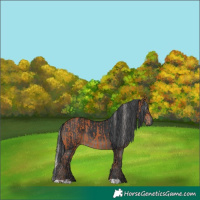 Horse Color:Silver Bay  and Black 