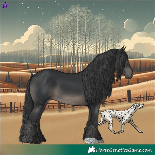Horse Color:Black 