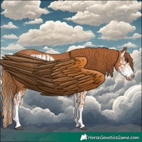 Horse Color:Chestnut Splash Frame and Chestnut Splash Frame Rabicano