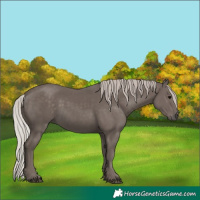 Horse Color:Silver Black 