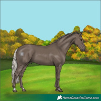 Horse Color:Silver Black 