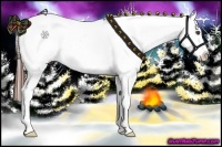 Horse Color:White Spotted Brown Roan Dun Varnish