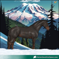 Horse Color:Liver Chestnut  and Liver Chestnut 