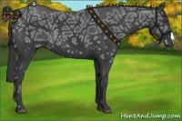 Horse Color:Smoky Black Ice