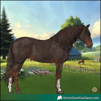 Horse Color:Liver Chestnut  and Liver Chestnut 