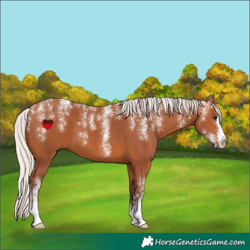 Horse Color:Powder White Chocolate Silver Bay 