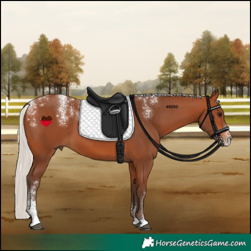 Horse Color:Powder White Silver Bay 