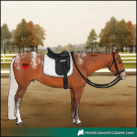 Horse Color:Powder White Silver Bay