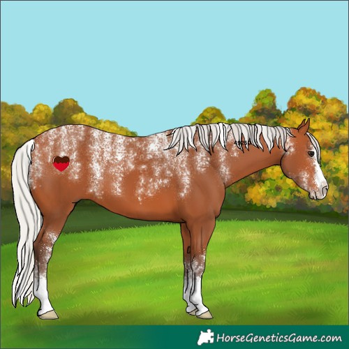 Horse Color:Powder White Silver Bay