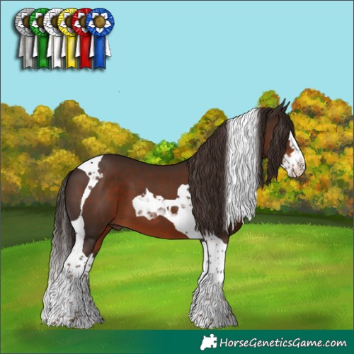 Horse Color:Liver Chestnut Splash Tobiano 