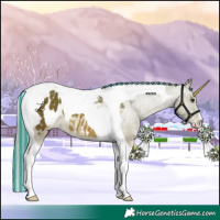 Horse Color:Painted Chocolate Palomino Tobiano Blanket 