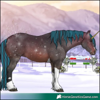Horse Color:Painted Brown Tobiano