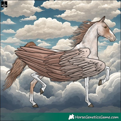 Horse Color:Liver Red Roan Pearl Tobiano Frame