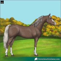 Horse Color:Silver Black 